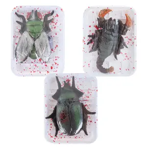 Halloween Insects Decoration Halloween Party, Trick or Treat 18.5cm Beetle