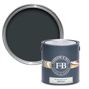 Farrow & Ball Dead Flat Mixed Colour 95 Black Blue 750ml