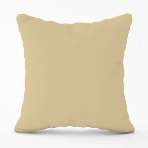 Biscuit Brown Cushions 45cm x 45cm