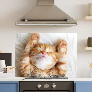 Premium 90cm x 65cm 6mm Glass Cute Cat Kitchen Splashback Toughened Polished Edge