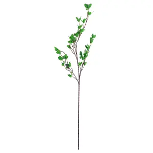 Pack of 6 x 100cm Mini Leaf Ficus Stem