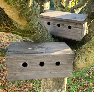 Sparrow Colony Terrace Wooden Nesting Boxes (Set of 2)