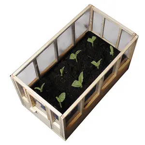 Miniature Indoor Greenhouse For Herbs and Flowers