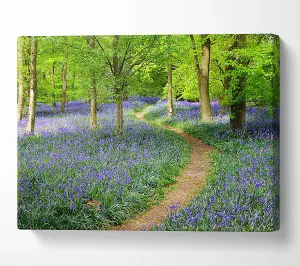 Walk Through The Bluebell Path Canvas Print Wall Art - Medium 20 x 32 Inches