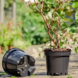 5 x 5L Round Black Plant Pots For Growing Garden Plants & Herbs Outdoor Growers