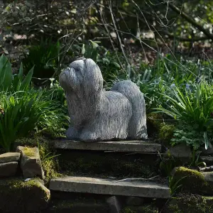 Adorable Stone Cast Life size Shih-Tzu Garden Ornament