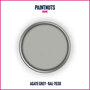 PaintNuts UPVC Door & Window Satin Paint - Agate Grey - 400ml Spray Can (RAL7038)