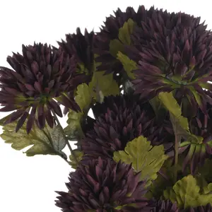 UK Homeliving Chocolate Chrysanthemum