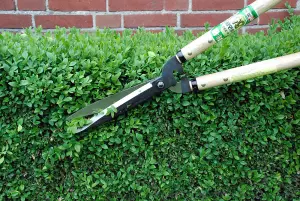 Okatsune KST230 Hedge Shears Long Handled Long Blade