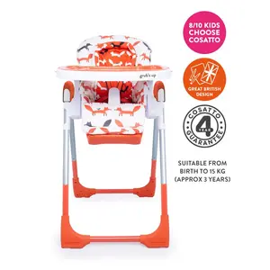 Noodle Supa Folding High Chair