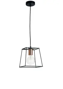 Luminosa HARLEM Wire Frame Pendant Ceiling Light Black 22x22x18cm