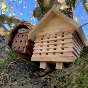 Wooden Solitary Bee Hive Hotel Habitat & Hanging Ladybird Hotel