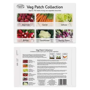 Pronto Seed Vegetable Bumper Pack, 21 Varieties, Over 1700 Seeds