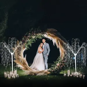 Wedding Moongate - Silver & 2 x Weeping Willow Tree 180cm Warm White