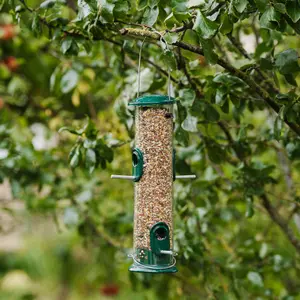 Peckish Plastic & steel Seed Green All weather Bird feeder 0.7L