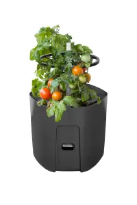 Self-watering Tomato Pot, trough, planter - extendable trellis - with Vermiculite - 290mm dia, 1090mm tall, 14L