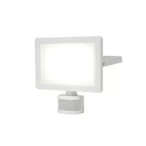 GoodHome Lucan AFD1019-IW White Mains-powered Cool white Outdoor LED PIR Floodlight 3000lm