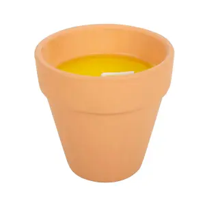 Outdoor Citronella Candle in a Ceramic Pot H9.5cm