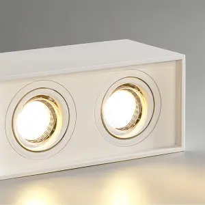 CGC SASHA Indoor Ceiling Spotlight White Twin Rectangular