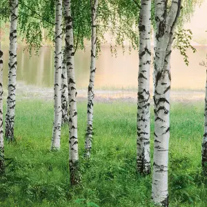 Nordic Forest Mural - 384x260cm - 5424-8