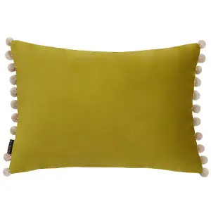 Paoletti Fiesta Velvet Feather Rich Cushion