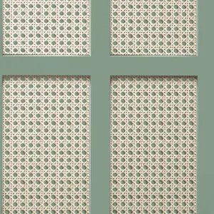 Cane Panel Wallpaper Sage Fine Decor FD42999