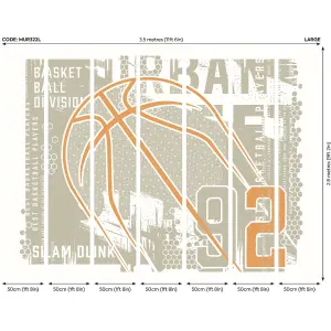 Origin Murals Modern Basketball Grey Paste the Wall Mural 350cm wide x 280m high