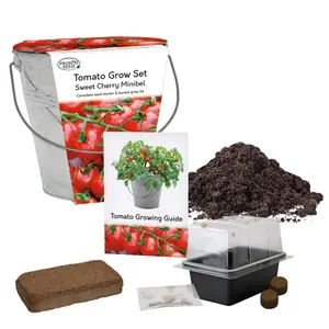 Pronto Seed Cherry Tomato Growing Kit with Bucket Planter & Tomato Seeds - Garedning Gifts for Women & Men