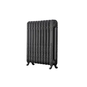 Arroll Daisy Cast iron Grey 10 Column Radiator, (W)684mm x (H)794mm