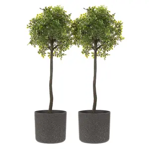 LIVIVO Indoor Plant Pots - Set of 2, Gardening Pot for All House Plants, Herbs & Foliage Plant - Ideal Home Decor Planter - 22cm