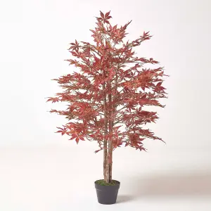 Homescapes Acer Tree in Pot, 120 cm Tall