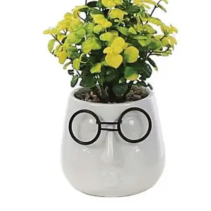 Primrose Artificial House Plant in White Pot with Black Glasses Design 17cm