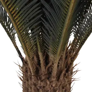 113cm Leaf Large Artificial Cycas Tree in Black Pot for Decoration for Home Office