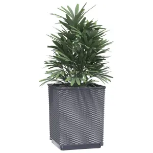 Berkfield Planters 4 pcs Dark Grey 30x30x37 cm Polypropylene