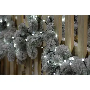 Aurora LED Indoor / Outdoor String Light Cool White