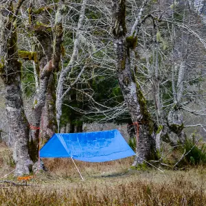 Blue Tarpaulin - (L)3m x (W)2m - Heavy Duty Waterproof  - Metal Fixing Eyelets & Rope Reinforced Hems