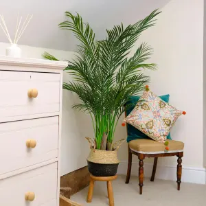 Artificial Palm Tree - 5ft Large Outdoor Areca Palm