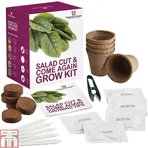 Seed Grow Kit Cut & Come Again Salad Leaves - Ideal Gift