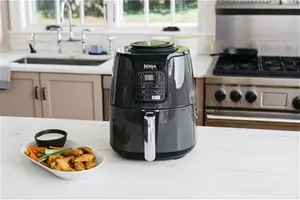 Ninja AF100UK 4-In-1 Air Fryer And Dehydrator - Grey