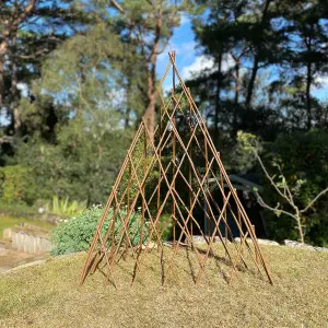 Expanding Willow Garden Obelisk (1.2m) Ideal for Climbing Plants