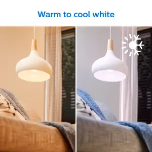 Philips WiZ E27 60W LED Cool white & warm white A60 Dimmable Frosted Light bulb