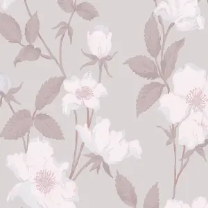 Laura Ashley Fleurir Sugared violet Floral Smooth Wallpaper Sample