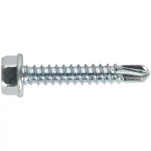 100 Pack Zinc Plated Self Drilling Hex Head Screws 4.2 x 25mm for DIY and Professional Use