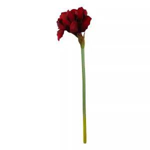 Fiori 72cm Amarylilis Stem Burgundy Flower Artificial Plant Foliage