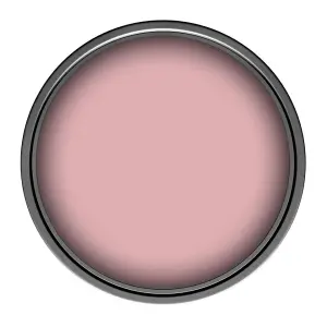 Leyland Trade Vinyl Matt Walls & Ceilings Emulsion Paint Light Pink (RAL 3015) 350ml Tester