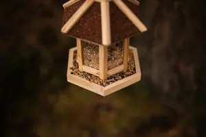 Garden Wooden Gazebo Bird Feeder