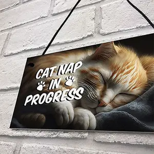 Red Ocean Novelty Cat Signs For Home CAT NAP IN PROGRESS Funny Cat Signs For Cat Lovers Cat Gifts Cat House Sign Friendship