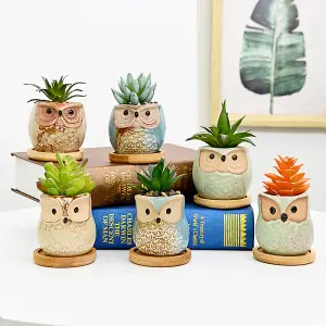 simpa 6PC Funky Owl Themed Ceramic Plant Pots with Bamboo Base