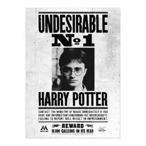 Harry Potter Undesirable No. 1 Framed Canvas Print Black/White (40cm x 30cm)