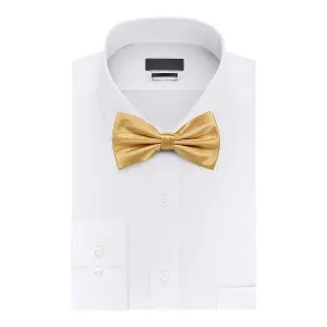 Champagne Satin Polyester Bow Tie for Casual & Formal Wear, Wedding Party Accessory